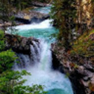 Meet your Posher, Trish